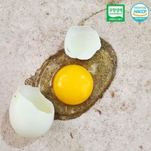무항생제 청계 유정란 청란 20구 40구 농장직송 당일산란 당일발송, 40구 (15.6%할인!!)