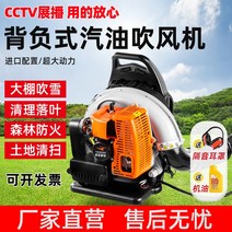 엔진브로워 제설기 눈 청소기 송풍기 4 행정 가솔린 헤어 드라이어 배낭 고출력 바람 소화기 산불 불 부는 잎, [10] Yasheng 54기통 2행정 EB916A(1