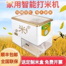가정용도정기 현미 백미 도정기 정미기 소형 자동, 500W 미니