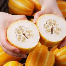 성주 꿀참외 선물용 가정용 2kg (12개 내외), 런칭특가 특품 로얄과(2kg), 1개