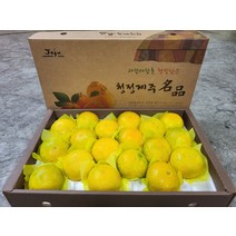 제주 황금향 5kg 특대과 8-16과 선물용 신비향 수라향 설국향 불로초 하우스 노지