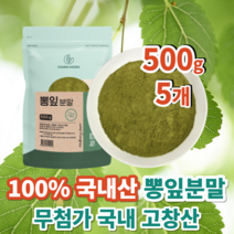 100% 국내산 고창산 무첨가 뽕잎 뽕나무잎 가루 분말 500g, 국산 뽕잎가루 500g x 5개, 5개