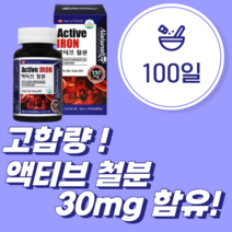 임산부철분제 생리철분제 출산후철분제, 100정, 1개