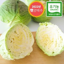 친환경 무농약 양배추 5kg, 단품