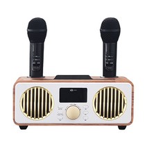 무선 블루투스 노래방 마이크 듀얼 마이크 스피커 차박 가정용 마이크세트 SW-NBF9000