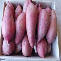 22년 햇고구마 해남 황토 꿀 밤고구마 베니하루카 3kg5kg10kg, 꿀밤고구마3kg (특상) 100g-300g, 1박스