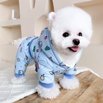 소형 견 큰 개 강아지 겨울 패딩 옷 방한복 의류 따뜻한 집 보온 특대 장식 모자 기모, C. 블루_XS