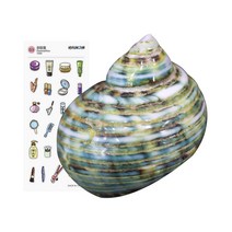 소라게 쉘 화이트 그린 우드 애완 딸기 은신처 껍질 3cm, 그린 ＋ 사은품 증정