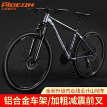 자전거 비행 비둘기 산악 가변 속도 성인 작업 남성과 여성 알루미늄 합금 디스크 도로, 24인치, 클래식 실버 탑 스포크 휠-라인 브레이크, 27 속도