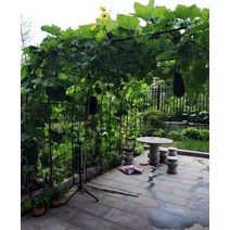 아치형 꽃꽂이 등나무꽂이 정원 월계화 스탠드 철선 연녹로 식물꽂이 야외 꽃문 정원 장식, 블랙:3.5 너비 2.2m