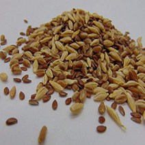 2 oz Sprouting PET Mix - A Tasteful Mix of Wheatgrass Flax and Barley Seeds. Seeds for Growing Micr, 1
