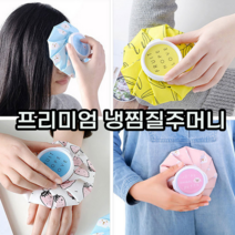 얼음주머니 의료용아이스팩 얼음찜질팩 냉찜질팩 냉온찜질 아이스팩 쿨패치 냉팩 얼음찜질팩 얼음찜질, 패턴6인치 비행기블루