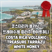 (커피생두) 255 코스타리카 볼카닉 뜨레아수레 따라주 화이트허니 1kg, 1개