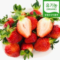(자연마을) 유기농 합천 육보딸기 1kg 토경재배, 유기농 합천 육보딸기 1kg (500g 2팩) 토경재배, 2개