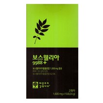 애플트리김약사네 보스웰리아 9988+ (1600mg x 15포) x 1