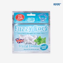 퍼지락 자일리톨 무설탕 캔디 쿨민트맛 40g, 1개