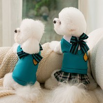 chol 반려동물 가을겨울 학원풍 리본 원피스, XS