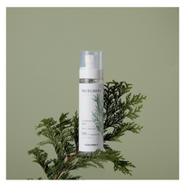 토니모리 트루그린 편백나무 수액 미스트, 160ml, 1개