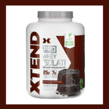 엑스텐드 프로 WPI 웨이 프로틴 이솔레이트 유청 단백질 쉐이크 초코 2.3kg