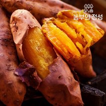 해남베니하루카꿀고구마10kg중상 183469