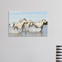 데코밍샵아크릴액자_성공의상징말그림2_아크릴액자, 3.경주마