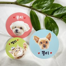 반려동물 스티커 주문 제작 강아지 고양이 애완견 애완묘 얼굴, 색상1, 3.유광코팅방수지, 사이즈 원형 45×45mm(20개)