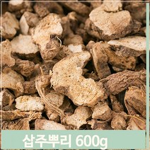 푸들 중국산 삽주뿌리 창출 편 약초 삽주차 창줄주 600g (7564417), 기본