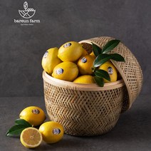 바른팜 팬시 레몬, 1box, 레몬 개당 110g내외 12과