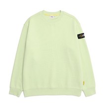 [국내정식매장상품] 내셔널지오그래픽 N224USW901 스탠다드 벨룩스 세미 오버핏 맨투맨 FOAM GREEN