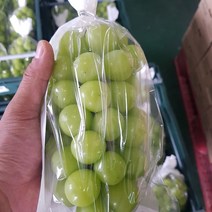 국산 고당도 샤인머스캣 샤인머스켓 씨없는포도 겨울과일 2kg 내외 특 4수, 2kg 내외특4수(10012207)