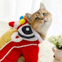 Spring Festival Teddy 강아지 Coat Lion Dance Clothes Winter Puppy Costume Small 고양이 Party Dressing Up N, [05] XXL