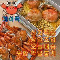 [산지직송] 국내산 포항 제철 게이득 박달홍게 2.5kg/3kg 육수용, 7미 (2.5kg)