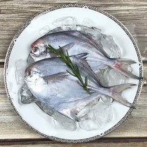 목포 당일바리 생물 병어 1kg (횟감선도) 내장제거 손질완료 병어회, 조림 구이 손질 병어 대 1kg(5-7미), 1개