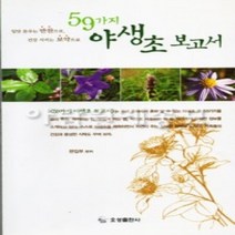 AR 59가지 야생초 보고서 들풀들 보고서