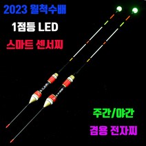 역대급 2023 월척수배 1점등 스마트 센서찌 민물 낚시용품, 2호, 1개