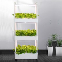 수경재배식물 새싹삼 야채재배기 어린이집텃밭, 3단, 포함