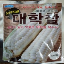 대학찰옥수수씨앗 2000립 연농1호 대한민국대표품종 괴산 찰 옥수수 종자 대포장 농우, 1개