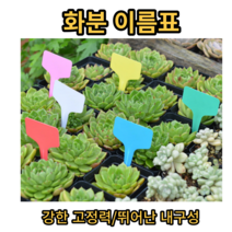 식물이름표 푯말 화단 화분이름표, 화이트
