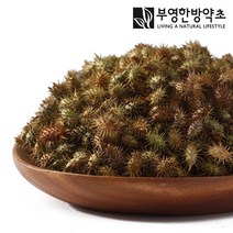 부영한방약초 국산 도꼬마리 창이자, 2개, 300g