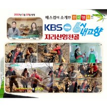 없음 지리산 엄천골 게르마늄 숙성칡즙, 1개, 2박스(100포)