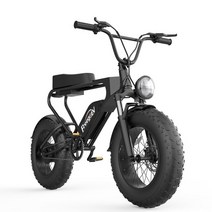 모든 지형 Ebike 오프로드 프리고 DK200 자전거 전기 자전거 비치 크루즈 1200w 팻 타이어 산악 전자 자전거, 1.Black  1200W Motor20AH Batte