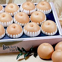 [제수 이바지용] 우수농산물인증 명품 나주배 7.5KG (7~8과), 1개