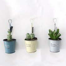 다육이 철제 미니 화분 3개세트 틴바스켓 행잉틴바스켓 행잉화분 빈티지 양철바스켓 다육화분 행인바스켓