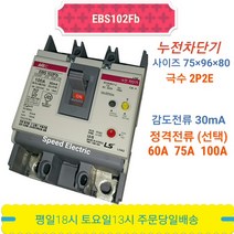LS산전 EBS102Fb 2P 75A 30mA 누전차단기 10kA ELCB ELB