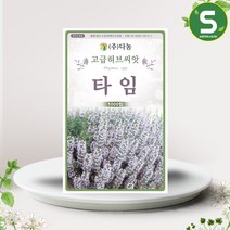 솔림텃밭몰 다농 타임씨앗 1000립 타임 백리향 허브씨앗 허브씨, 단품