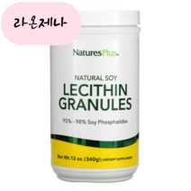 홈쇼핑 네이처스플러스 대두 레시틴 과립 이노시톨 포스파티딜콜린 340g
