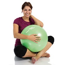 토구 레돈도볼 플러스 짐볼 38CM