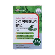 마그 징코 매니아 플러스 약국정품, 1개입, 60캡슐