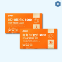 (총 6개월분) 메가 비타민C 3000 90포 X 2박스 / 비타민씨 분말 가루, (총 6개월분) 90포 x 2박스