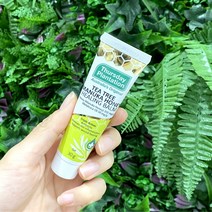 써스데이플랜테이션 티트리오일 마누카 힐링 밤 30g